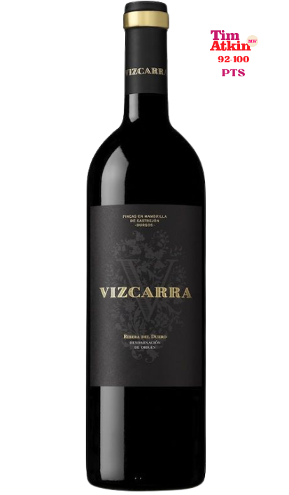 VIZCARRA 15 MESES, 2020