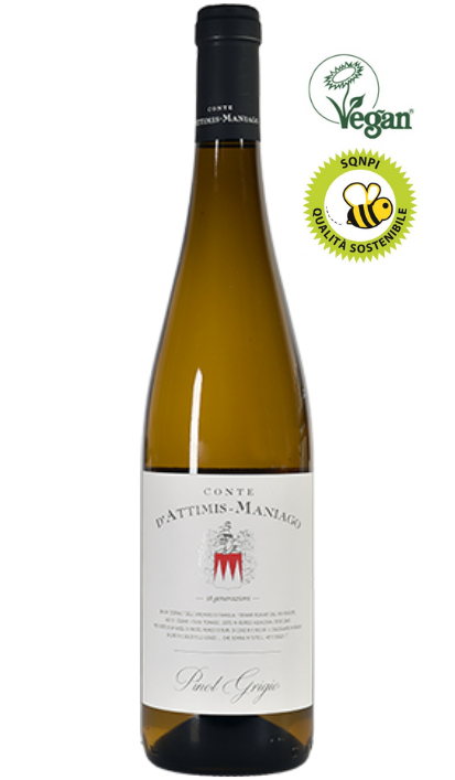 PINOT GRIGIO DOC, 2024 - 1500 ML