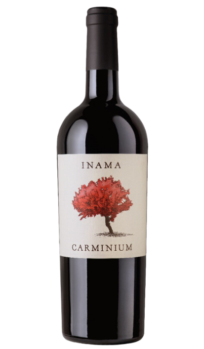 CARMINIUM DOC, 2019