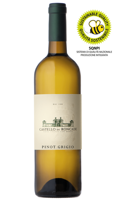 PINOT GRIGIO DOC, 2023