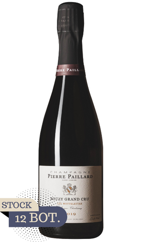 Les Mottelettes Bouzy Grand Cru, 2019