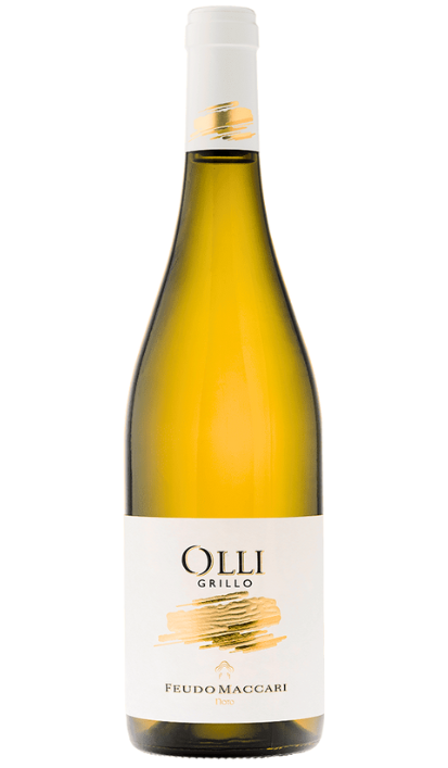 OLLI DOC 2023
