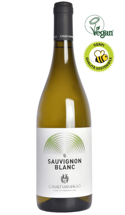 SAUVIGNON BLANC DOC, 2024