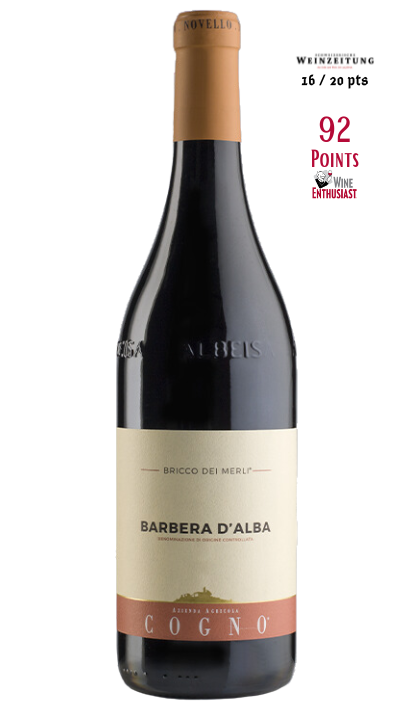 BARBERA D´ALBA BRICCO DEI MERLI DOC, 2020