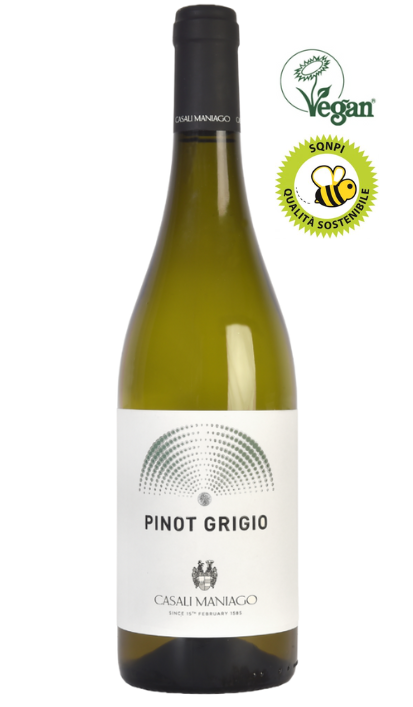 PINOT GRIGIO DOC, 2024