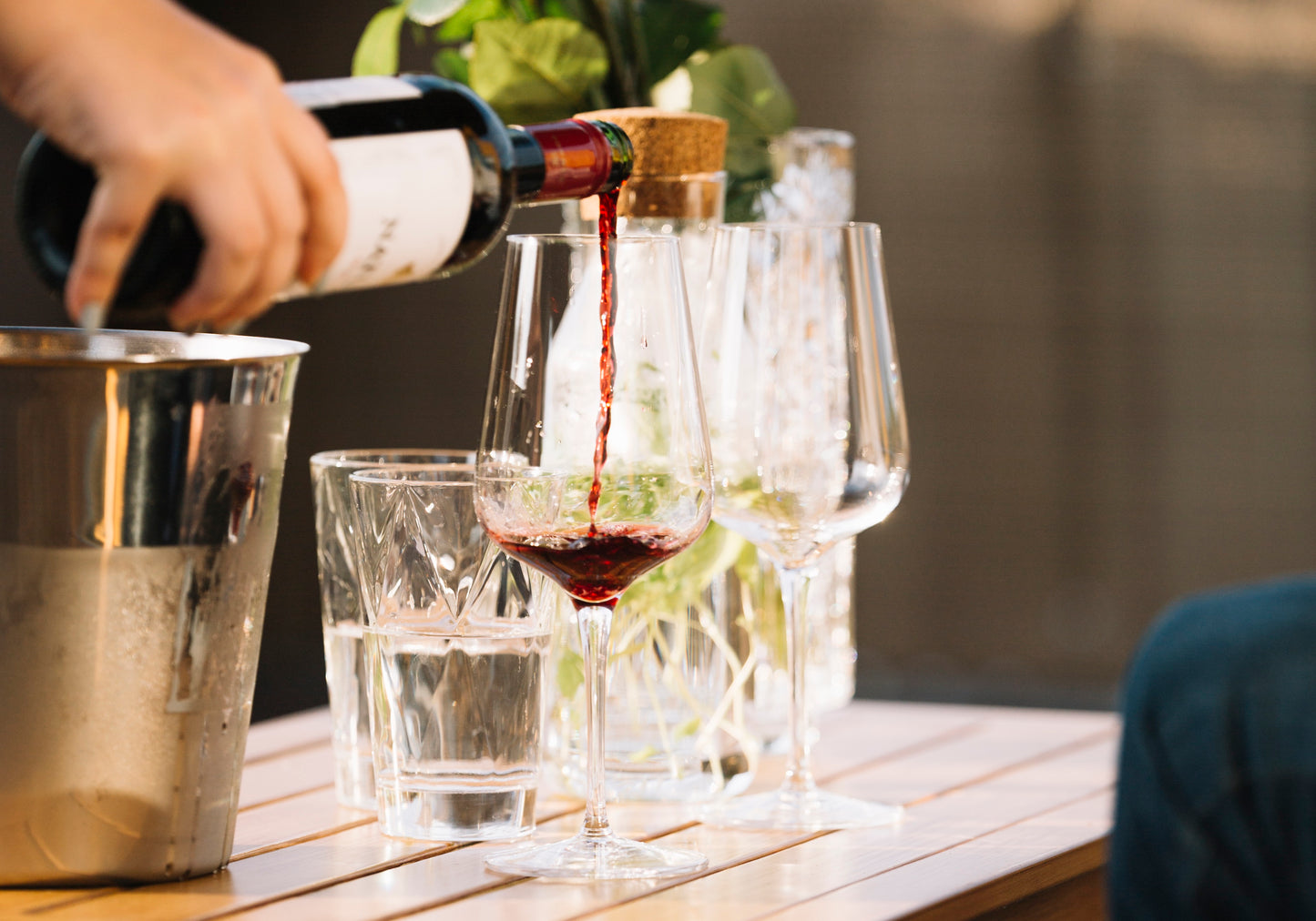 Enoteca Virtual | Terra & Mondo
